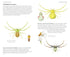 Pocket guide to British Spiders - Richard Lewington 2025